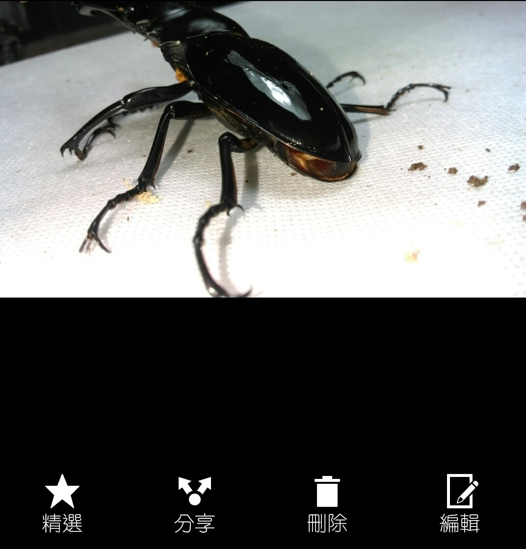 «ö¦¹¦b·sµøµ¡ÂsÄý¹Ï¤ù