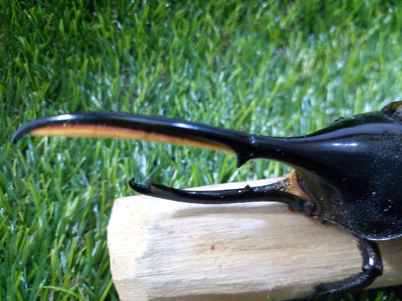 «ö¦¹¦b·sµøµ¡ÂsÄý¹Ï¤ù